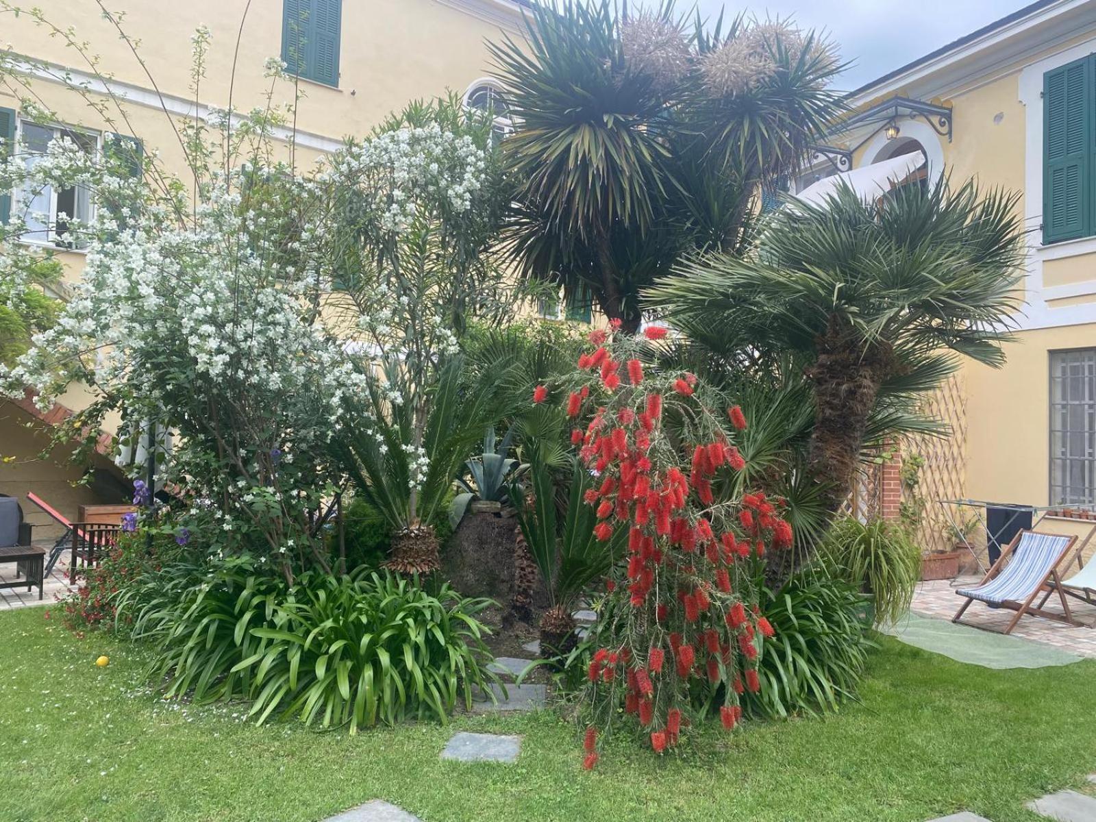 Villa Angelina - Casa Glicine Vallecrosia Exterior foto